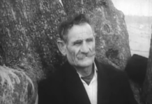 Прича о травару са Романије: Излечио је на хиљаде људи, био због тога прогањан, а живот завршио на трагичан начин у дубокој старости Прича о травару са Романије