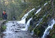 ЧУДЕСАН ИЗВОР У КАЊОНУ РАЧЕ: Вода која би некоме могла да спаси живот!