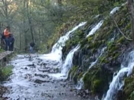 ЧУДЕСАН ИЗВОР У КАЊОНУ РАЧЕ: Вода која би некоме могла да спаси живот!