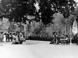 ВЛАДИКА НИКОЛАЈ: Због нас Срба су браћа Руси свесно ишли у рат…