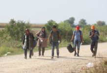РАСПРАВА БИЛЕЋАНИНА И МИГРАНТА “Ђе си крено, која Палестина…”