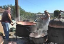 Са ЊИМА нема шале: Ова породица је направила ракију ОД 50.000 КИЛОГРАМА ШЉИВЕ!