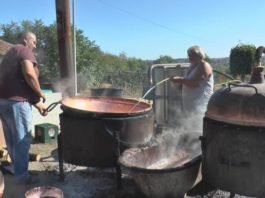 Са ЊИМА нема шале: Ова породица је направила ракију ОД 50.000 КИЛОГРАМА ШЉИВЕ!