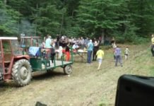 ЧУДЕСНА БУКОВА ШУМА: Нежење кажу да се тамо чуда догаћају – ко се тамо помоли испуни му се жеља