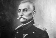 Медијски напад на Карађорђевиће је припрема за пљачку њихове имовине