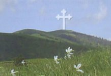 Да ли ће бити полицијског часа за Ђурђевдан?