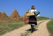 Најмоћнији ПРИРОДНИ ЛЕК за одбрану организма!