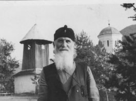 Речи Јустина Поповића: Зашто је јако мало правих Срба? Ава Јустин Поповић