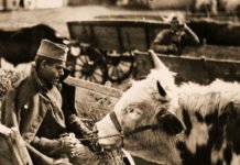 У МОРУ ЛАЖИ ПОСТОЈИ ЈЕДНА ИСТИНА: Како су се Краљ и Краљевина опходили према ратним ветеранима?