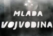 „Млада Војводина“ опет напала цркву (ФОТО) "Млада Војводина“