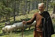 Порука старца са Голије: Научите децу да није богат онај ко највише има, него онај коме најмање треба