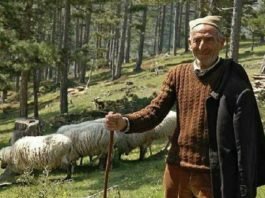 Порука старца са Голије: Научите децу да није богат онај ко највише има, него онај коме најмање треба