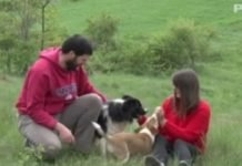 „АМЕРИЧКИ САН“ ЗАМЕНИЛИ СУ ЛЕПОТАМА СРПСКЕ ПРИРОДЕ: „Нисмо хтели да имамо велике паре и будемо несрећни“ Амерички сан