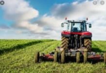 Коалиција монархиста: Забранити производњу и продају ГМО хране