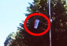БЕРАНЕ ОКИЋЕНО ТРОБОЈКАМА УОЧИ “ДАНА ДРЖАВНОСТИ“ ЦРНЕ ГОРЕ! (ВИДЕО)