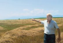 ДАН КАДА ЈЕ СРПСКА ЗЕМЉА НАТОПЉЕНА КРВЉУ: Терористи убили 14 српских жетелаца па ОСКРНАВИЛИ ГРОБЉЕ (ФОТО) српска земља