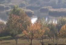 Плутајућа острва на СКРИВЕНОМ МЕСТУ у Србији остављају БЕЗ ДАХА (ФОТО)