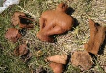 ОТКРИЋЕ СВЕТСКИХ РАЗМЕРА У СРБИЈИ: Археолози у чуду, у малом српском селу откривене фигуре старе 7.000 година (ФОТО) Фигуре