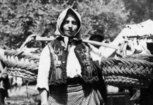 Заборављена српска поезија: “Мајка Кујунџића” – трагични стихови о страдању Срба које нећете наћи у школској лектири Кујунџића мајка