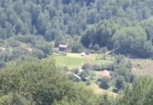 „Све се врти у круг, нема девојака“ У овом лесковачком селу ОСТАЈУ ДА ЖИВЕ САМО НАЈХРАБРИЈИ