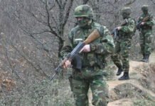 НАДА; Вратити обавезно служење војног рока Српска војска