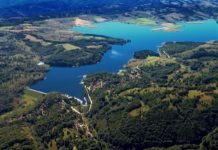 Чемерник: Јединствена планина у Србији, богата, али на њој је готово замро живот Чемерник