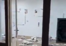 ПОЛИЦИЈА УХАПСИЛА ШЕСТ ОСОБА – ОДМАХ ОСЛОБОЂЕНИ! Осумњичени за цепање на изложби скарадног стрипа у Земуну (ВИДЕО)