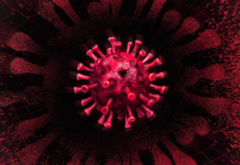 МОНАРХИСТИЧКИ ФРОНТ: „Да ли Влада брани Србију или брани интересе ЕУ која води по државе катастрофалну имиграциону политику?“