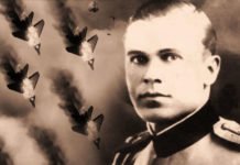 ОБОРИО 7 НЕМАЧКИХ АВИОНА! Да ли сте чули за Душана Петровића Бороша, команданта Нишавског корпуса Југословенске војске у Отаџбини? Бороша