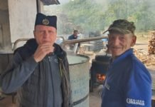 „Јављају се циркузанти, пајаци, медиокритети“ printscreen/twitter