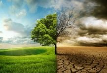 Климатске промене: БОРБА ТЕК ПОЧИЊЕ