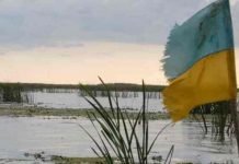 Велики пројекат звани “УКРАЈИНА”