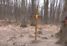 Да ли сте чули за мистериозне Софијине кругове: Ово место на Фрушкој Гори је место ходочашћа