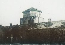 ЗАВЕРА ЋУТАЊА О ЗЛОЧИНИМА У ЈАСЕНОВЦУ: Књиге о геноциду над Србима прве су биле на нишану цензорских машинерија